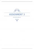 BTEC IT Unit 9 IT Project Management - Assignment 3  (DISTINCTION)