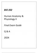 (ASU Online) BIO 202 Human Anatomy & Physiology II Final Exam Guide Q & A 2024