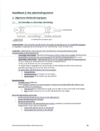 Fysiopathologie (2/5) - UPDATE - Ademhaling - Extra nota's & woordenlijst