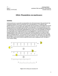 Verslag 2 Biochemie 1 practicum