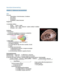 samenvatting neurofysiologie