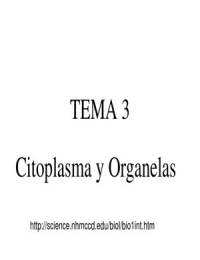 Citoplasma y organelas