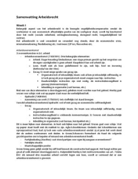 Samenvatting Arbeidsrecht BAII