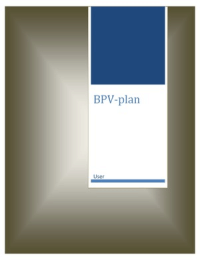 BPV-plan voor BPV 3