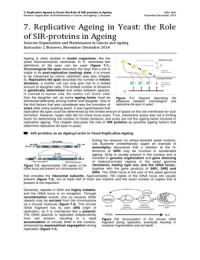 GCA: 7. Replicative Ageing in Yeast: the Role of SIR-proteins in Ageing