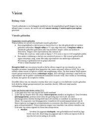 Samenvatting Brein 3 deeltentamen 2 RU Nijmegen [Cognitive Neuroscience - Gazzaniga]