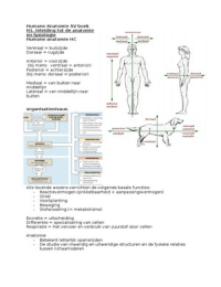 Humane Anatomie