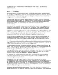 Samenvatting artikelen en werkgroepen verdieping strafrecht periode 2 &lpar;materieel strafrecht&rpar;