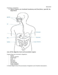 Case 2 Digestion and absorption