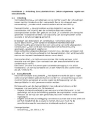 samenvatting executierecht
