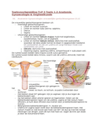 TLP3 Anatomie Gynaecologie & Oog