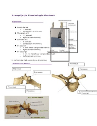 Samenvatting kinesiologie botten (DT 1.1 en 1.2)