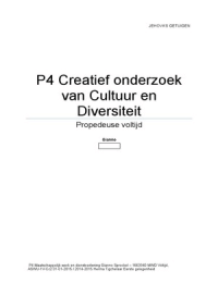 P4 Creatief onderzoek van Cultuur en Diversiteit Cijfer 7,8