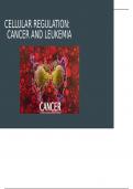 CELLULAR REGULATION: CANCER AND LEUKEMIA 2024