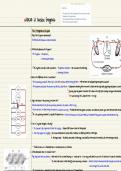 Summary -  Pathophysiology of Heart and Circulation