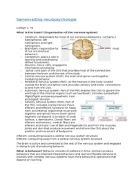 Summary Neuropsychology