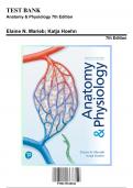 Test Bank: Anatomy & Physiology 7th Edition, 7th Edition by Elaine N. Marieb - Chapters 1-26, 9780135168042 | Rationals Included