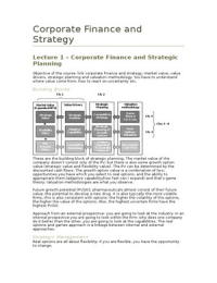 Lectures Corporate Finance & Strategy
