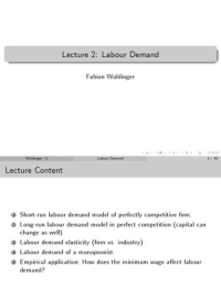 Labour Economics (Microeconomics) : Labour Demand (Graduate/ Undergraduate)