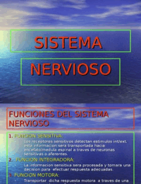 Fisiología: sistema nervioso
