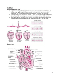Cardiovasculaire aandoeningen keuzecursus samenvatting; ziektebeelden, literatuur en colleges