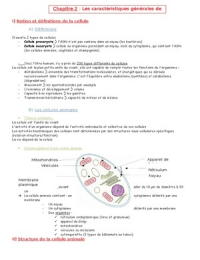 anatomie - Caractéristiques générales de la cellule animale
