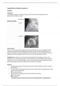 Samenvatting topografische en klinische anatomie 2 Schouder