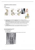 Samenvatting topografische en klinische anatomie 2 Heup