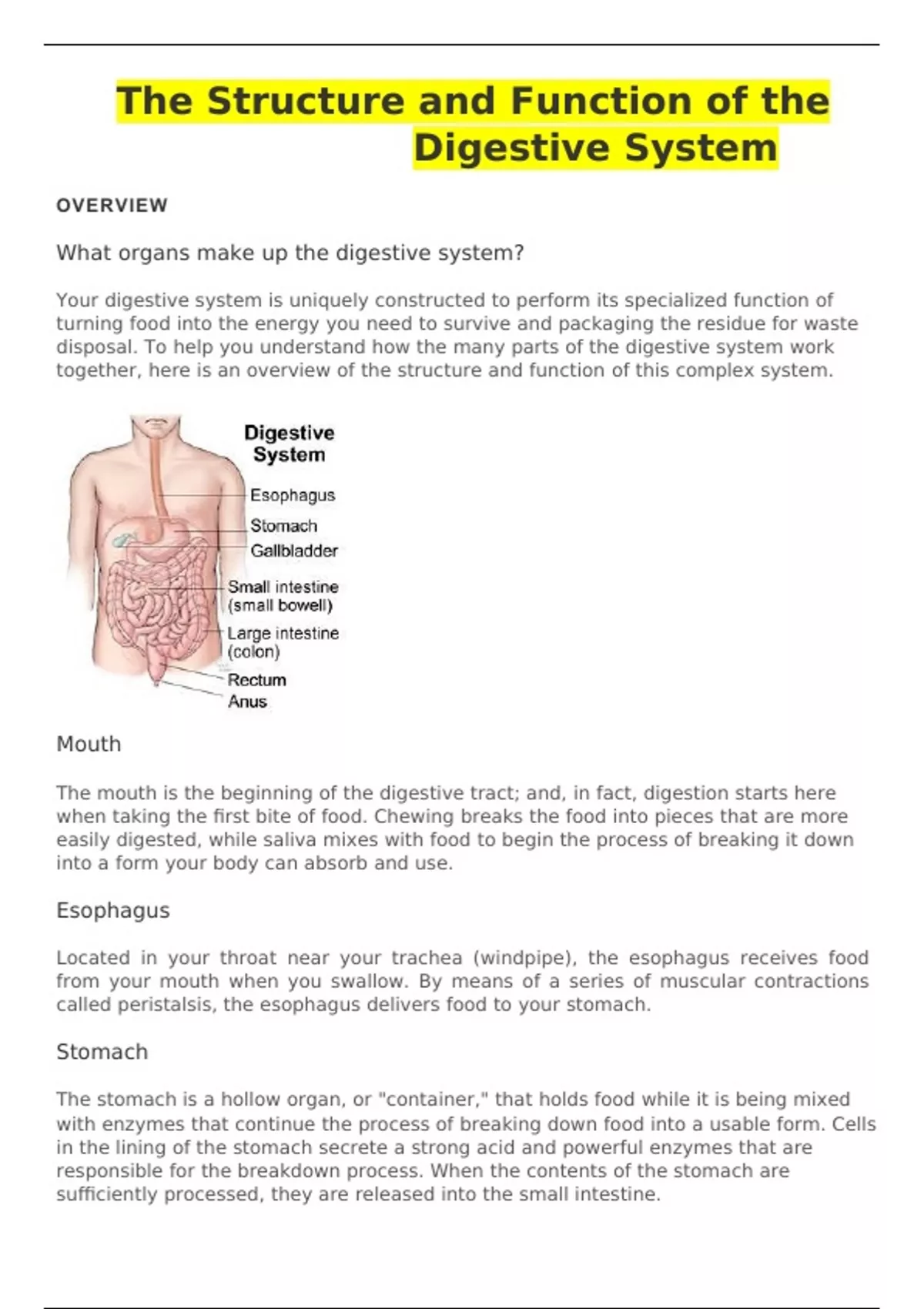The Structure and Function of the Digestive System - The Structure and ...