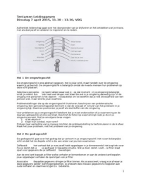 Authentiek Leiderschap - samenvatting