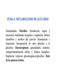 Metabolismo de Glúcidos