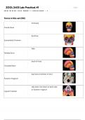ZOOL 2403 Practical &num;1 Questions and  Verified Answers &vert; Passed &vert; A&plus; 