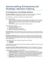 Summary strategic decision making incl. Papers