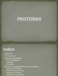 Biomoléculas orgánicas: PROTEÍNAS