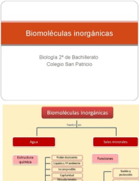 Biomoléculas inorgánicas: AGUA Y SALES MINERALES
