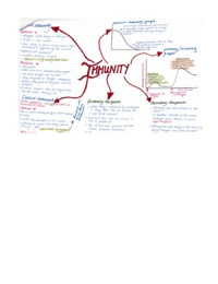 A Level Biology Immunity and The Kidney