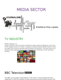 Media Sector 