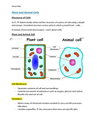 biology additional topic 1 GCSE