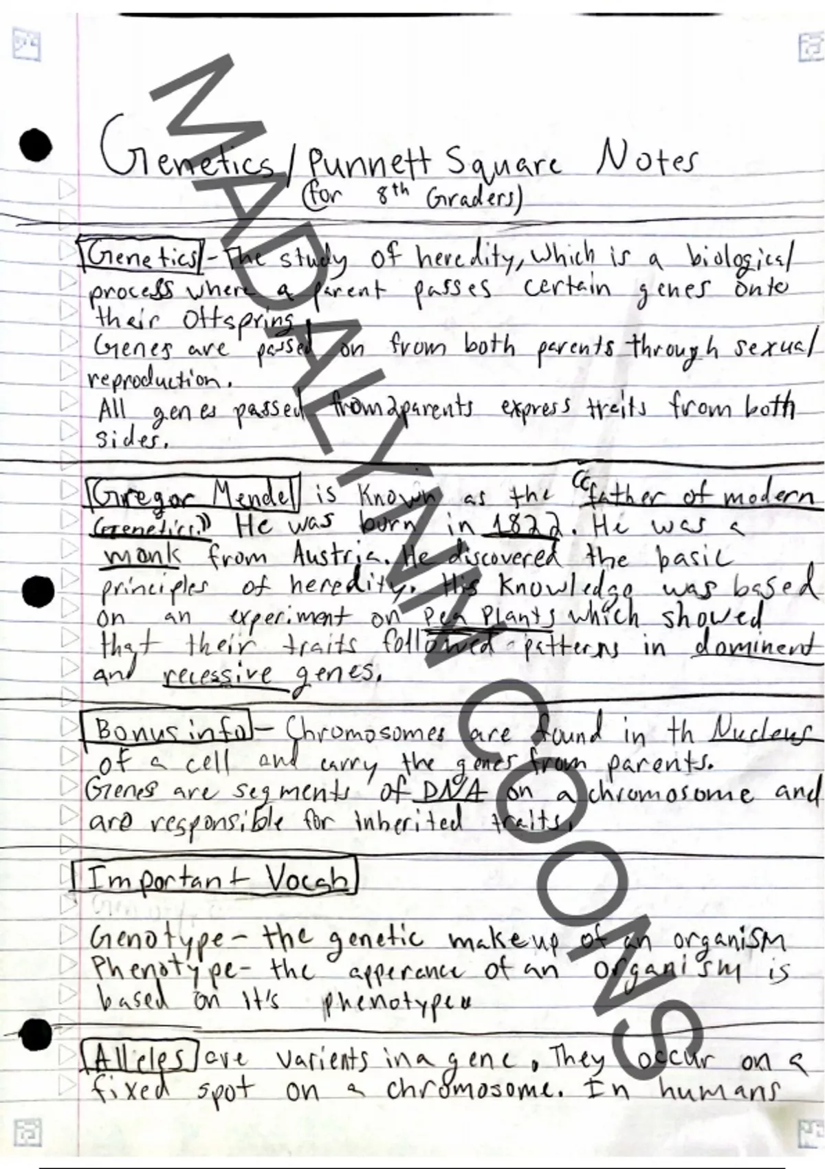 Summary Punnett Square And Genes Science Science Stuvia US summary-punnett-square-and-genes-science-science-stuvia-us