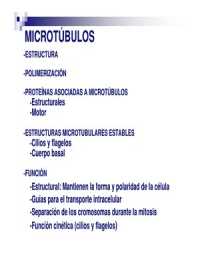 Microtubulos