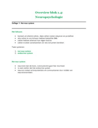 Blok 1.4: Neuropsychologie (Samenvatting)