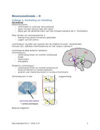 Neuroanatomie 2