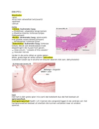 Aorta, Hart en Bloedvaten