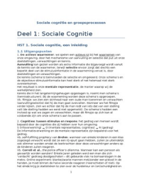 Sociale cognitie en groepsprocessen 2012-2013 (volledig)