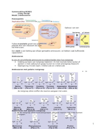 Latest Preview Thumbnail