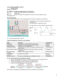 Latest Preview Thumbnail