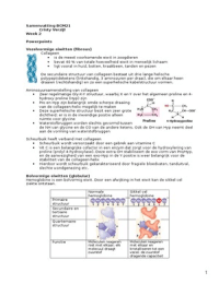 Latest Preview Thumbnail