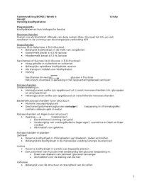 Latest Preview Thumbnail