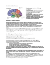 Neurobiologie samenvatting Hoorcolleges