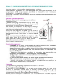 Botánica: Tema 17. Primeros cormófitos, Pteridófitos (helechos)